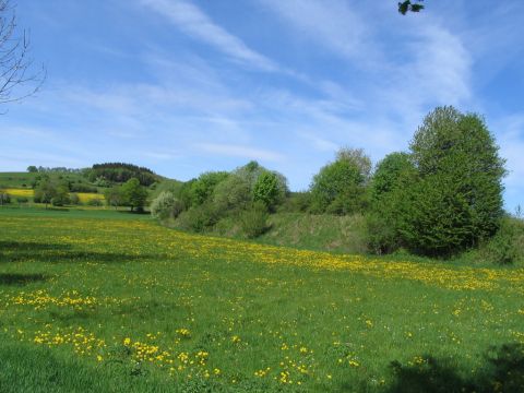 Zufahrt nach Hartmannshain