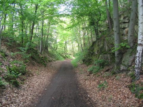 Felsdurchstich zwischen Grifte und Haldorf