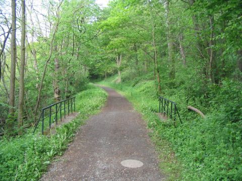 Br�cke zwischen Grifte und Haldorf