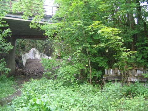 Ausfahrt St. Andreasberg West