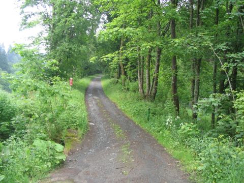 Br�cke �ber die Sperrlutter