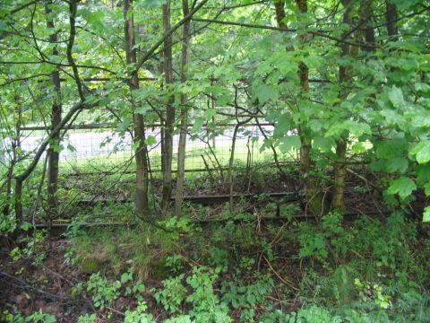 Bahnhof St. Andreasberg West