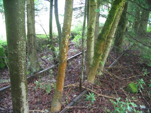 Bahnhof St. Andreasberg West