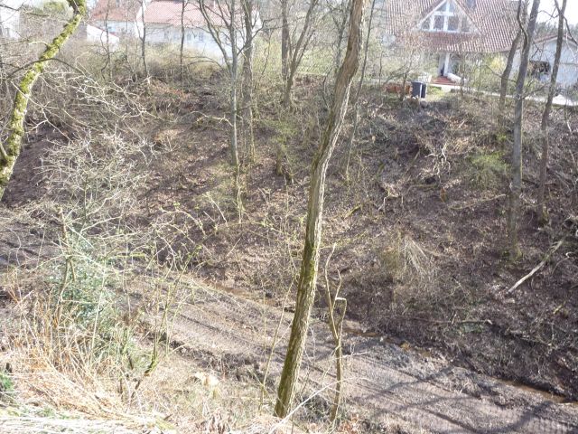 Einschnitt s�dlich von Freisen