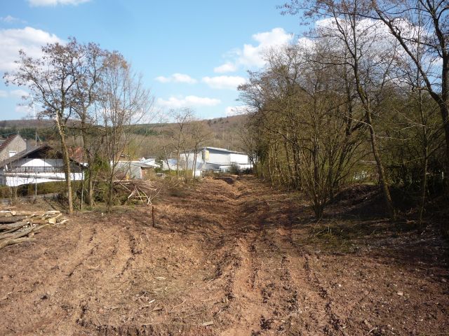 Einschnitt s�dlich von Freisen