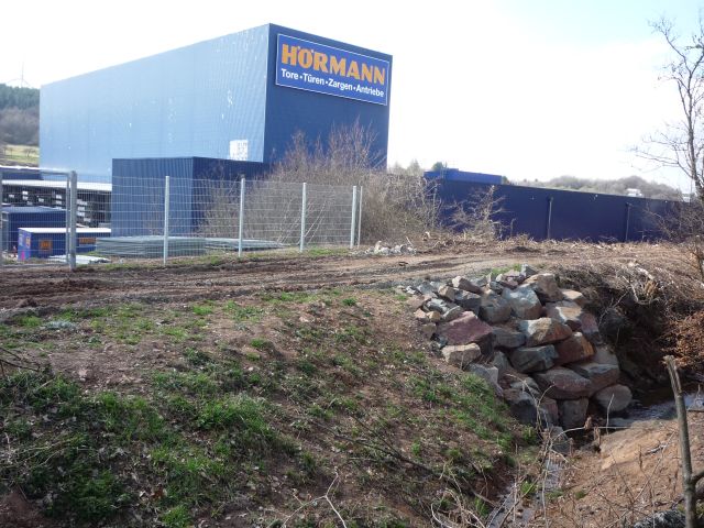 Bahndamm mit Anschluss Firma H�rmann