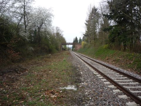 Ehemaliger Abzweig Ebertsheim Haltepunkt