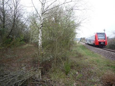 Ausfahrt Ebertsheim Haltepunkt