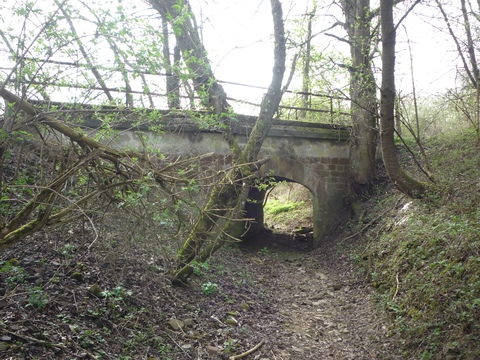 Br�cke �ber den Seltenbach