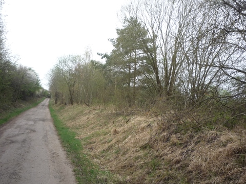 Zwischen Eberbach und Tiefenthal