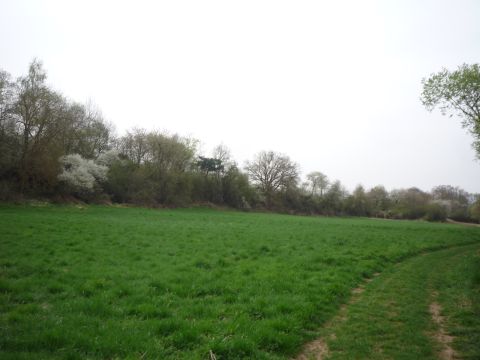 Zwischen Eberbach und Tiefenthal