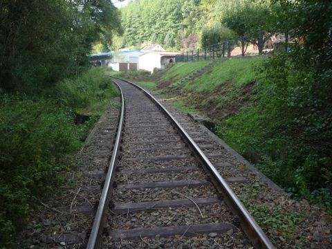 Br�cke �ber einen Seitenkanal des Speyerbachs