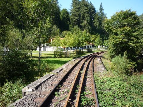 Br�cke �ber den Speyerbach