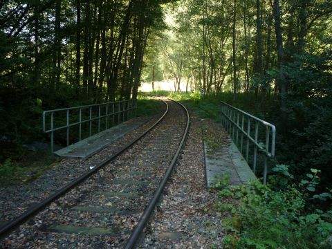 Br�cke �ber den Speyerbach