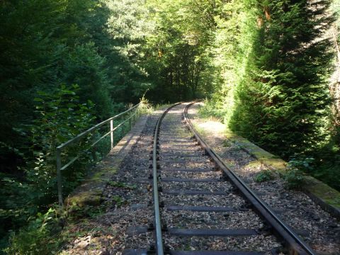 Br�cke �ber den Speyerbach