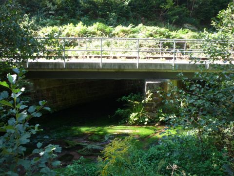 Br�cke �ber den Speyerbach