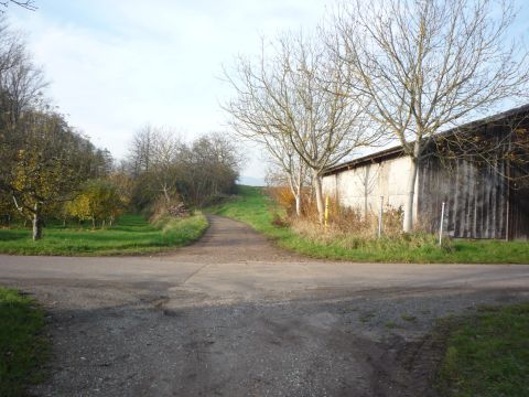 Zwischen Ingenheim-Appenhofen und Heuchenheim-Klingen
