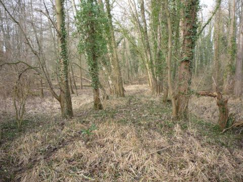 Zwischen Heuchenheim-Klingen und Klingenm�nster