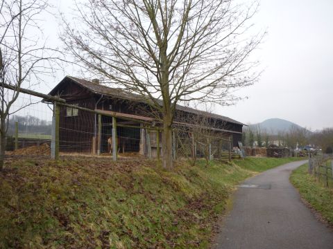 Lokschuppen Klingenm�nster