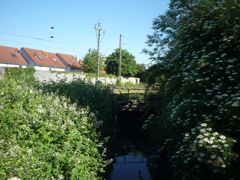 Br�cke �ber den Leimbach