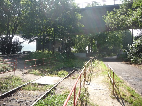 Br�cke �ber den Rhein