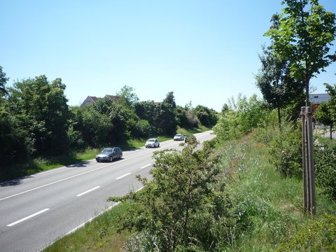 Br�cke �ber die Kardinal-Wendel-Stra�e