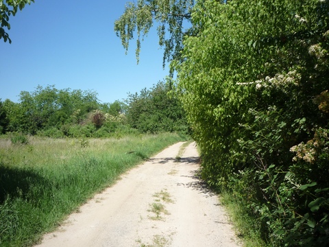 Weiter in Richtung Speyer