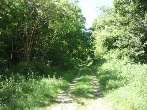 Zwischen Talhaus und Lu�hof