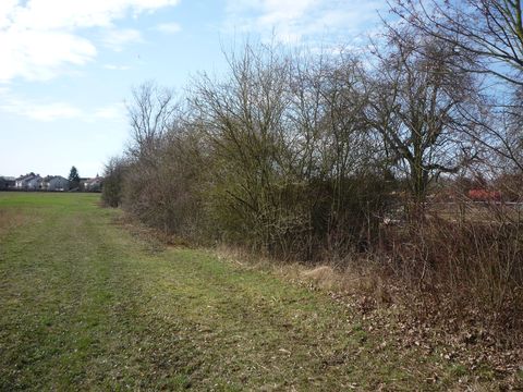 Zwischen Br�hl und Ketsch