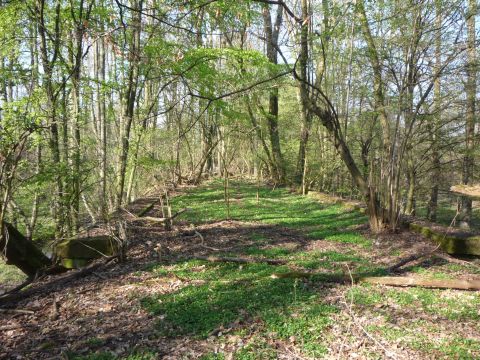 Br�cke �ber den Federbach