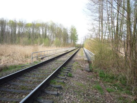 Br�cke �ber den Riedkanal