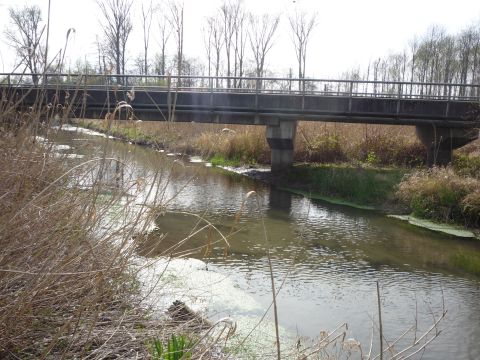 Br�cke �ber den Riedkanal