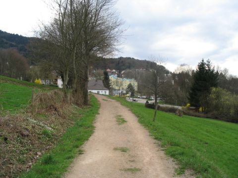 Auffahrt nach Badenweiler