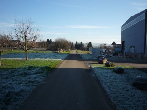 Zwischen Grafenhausen und Orschweier