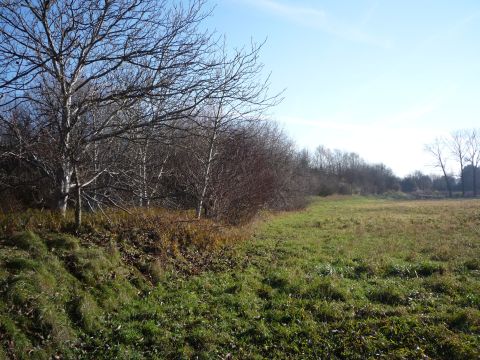 Zwischen Grafenhausen und Orschweier