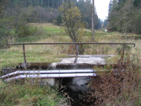 Br�cke �ber den Bach im Krumpeldobel