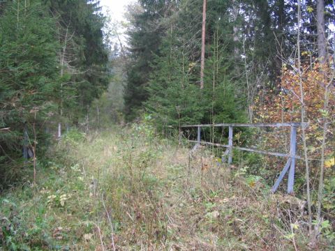 Br�cke �ber das Reichenb�chle