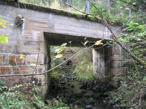 Br�cke �ber das Reichenb�chle