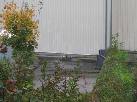 Gleisende Br�unlingen