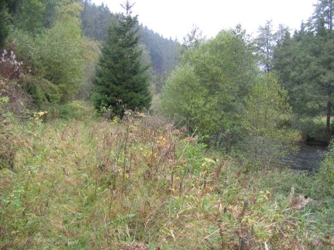 Zwischen Wolterdingen und Zindelstein