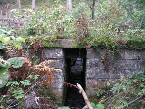 Zwischen Wolterdingen und Zindelstein