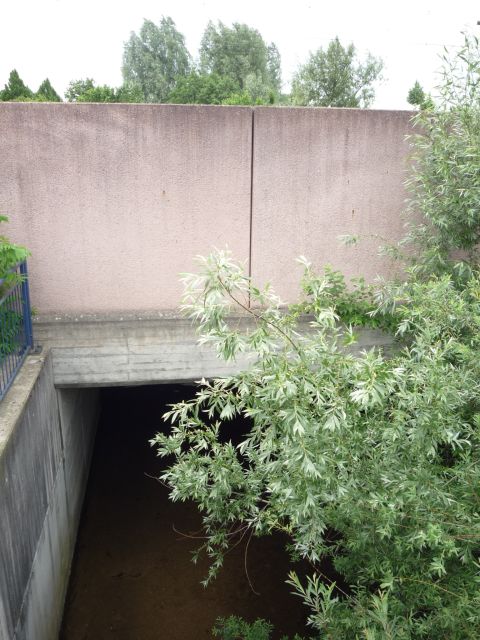 Br�cke �ber die B�hlot