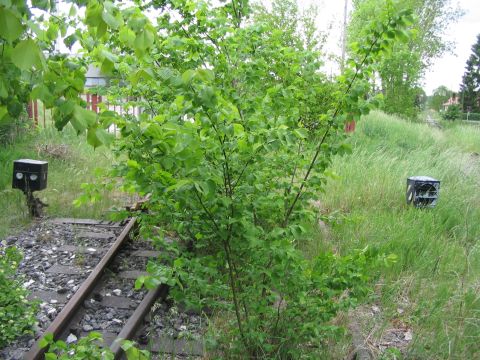 Anschluss Wilhelmsh�tte Bad Schussenried