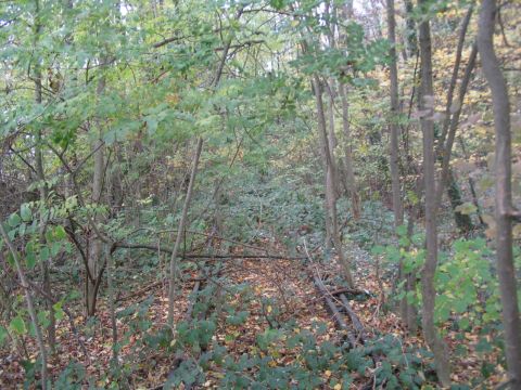 Umsetzgleise Schlachthof