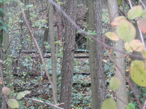 Umsetzgleise Schlachthof