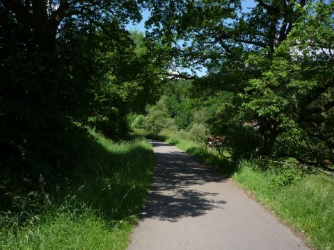 Zwischen Burkhardtsm�hle und Glash�tte