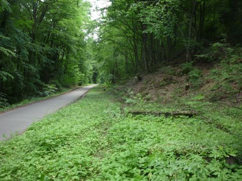 Haltepunkt Kochenm�hle