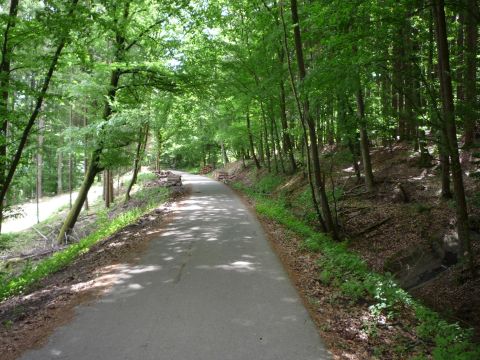 Zwischen Steinenbronn und Schl�sslesm�hle