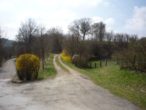 Zwischen Pfinzbr�cke und Hochm�hle