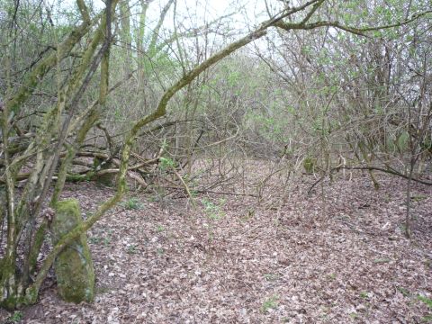 Bahn�bergang zwischen Dietlingen und Niebelsbach